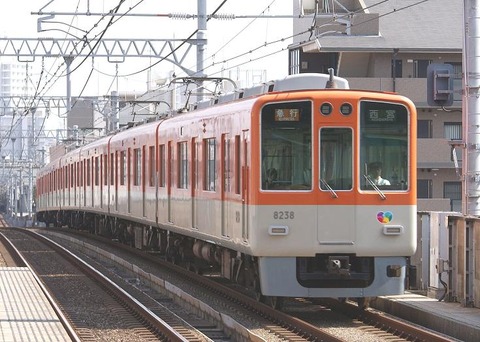 8000 (5)