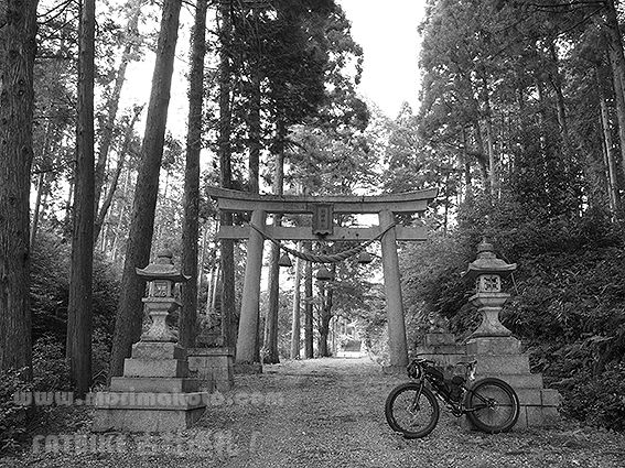 190729熊野神社5