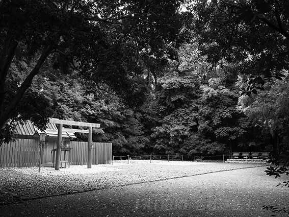 170526佐美長神社4