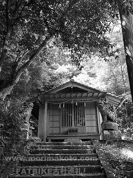 190509大井神社3