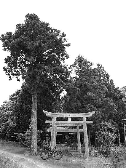 190514久良彌神社1