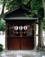 西-43