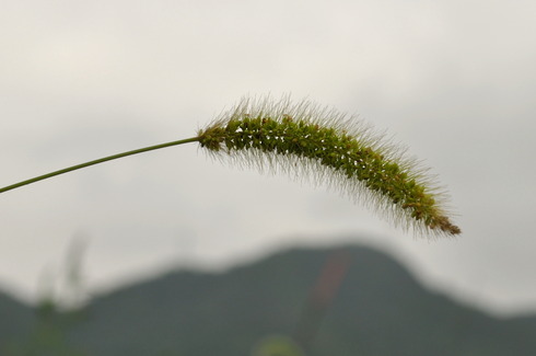 201908210835003