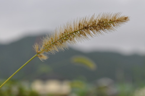 201908210834001