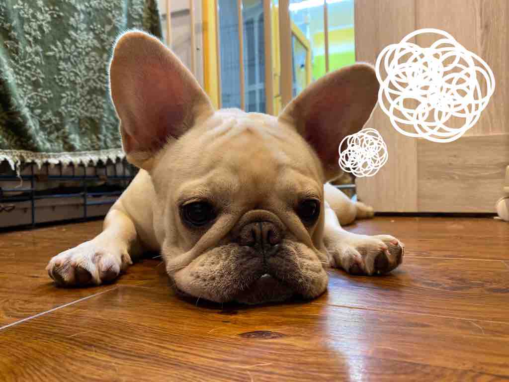 バテバテ ヤンキーエンジェル尾道店 ニュースブログ