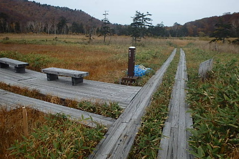 PA210065