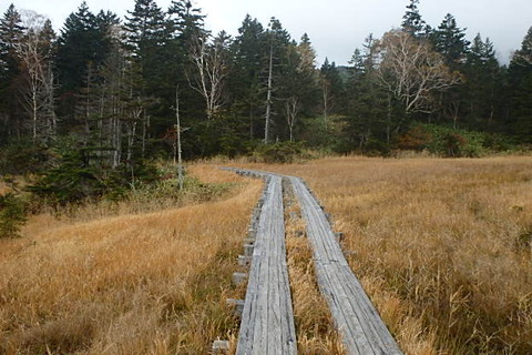 PA210049