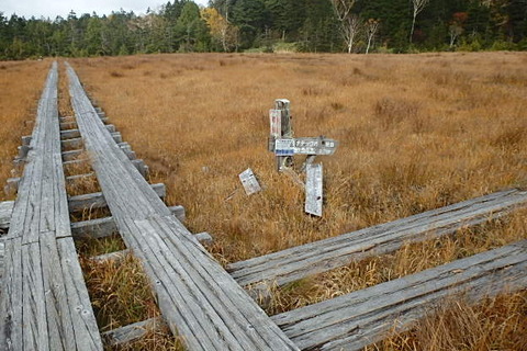 PA210052