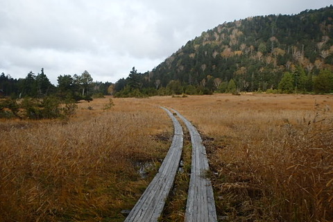 PA210051