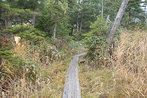 PA210050