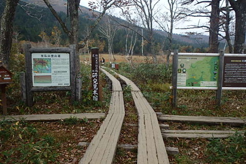PA210089