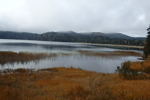 PA210048