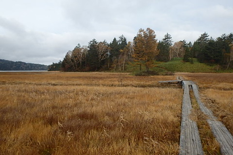 PA210039