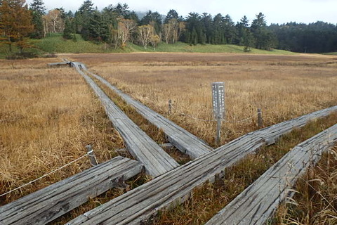 PA210038
