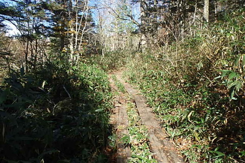 PA200024