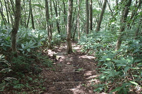 P8260104