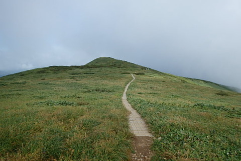 P8260082
