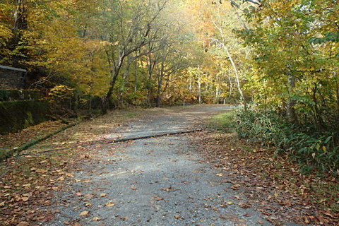 PA200016