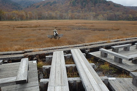 PA210078