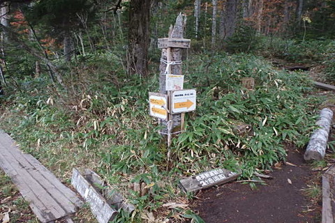 PA210041