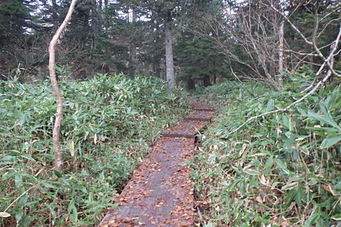 PA210044