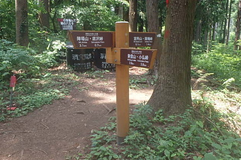 P6080030