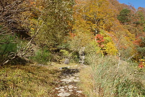 PA200021