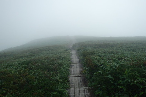 P8260058