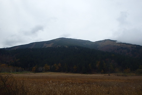 PA210087