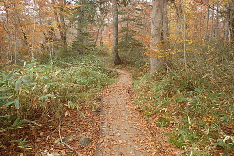 PA210058