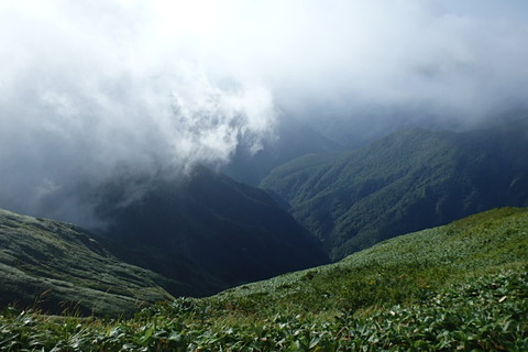 P8260067