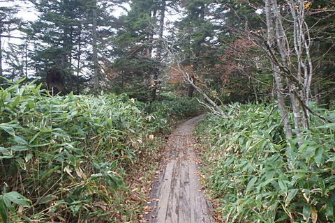 PA210047