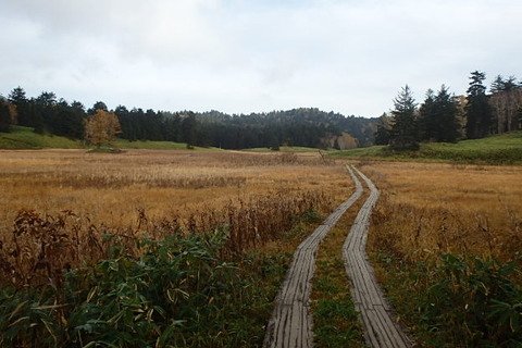 PA210036