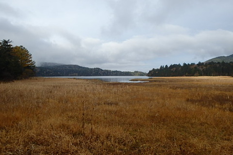 PA210037