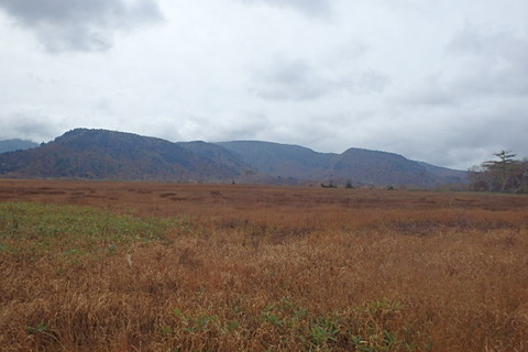 PA210067