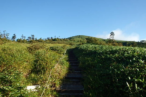 P8260049