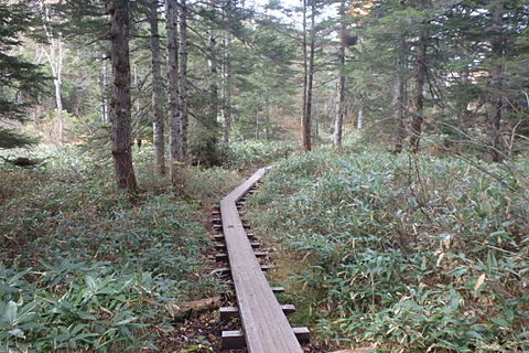 PA210054