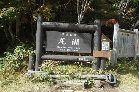 PA200010