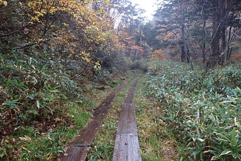 PA220094