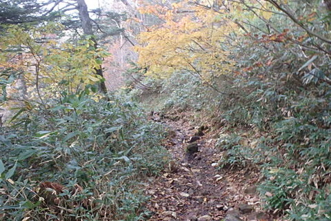 PA210057
