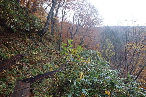 PA220095