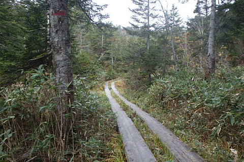 PA210055