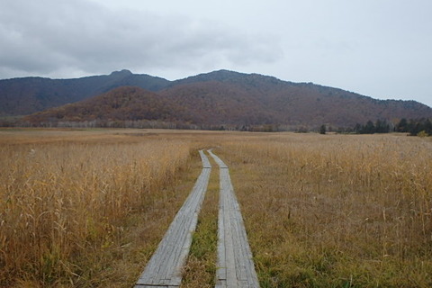 PA210064