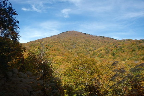PA200015