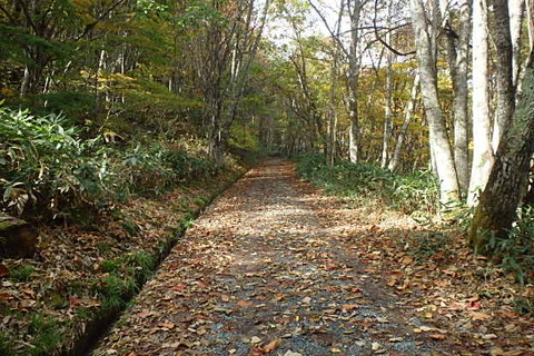 PA200014