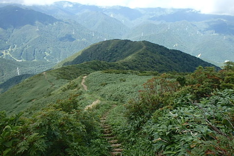 P8260100