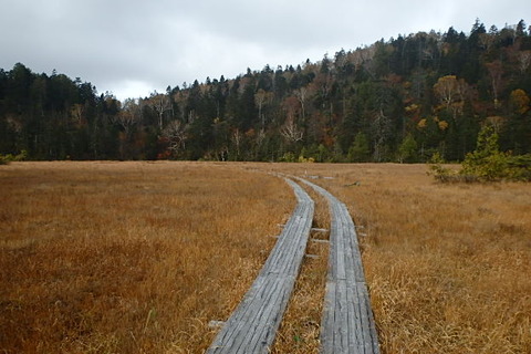 PA210056