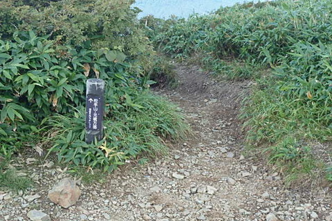 P8260093