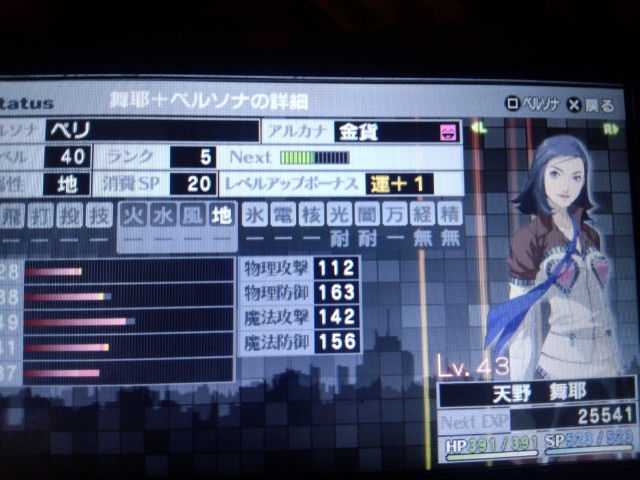 Psp版 ﾍﾟﾙｿﾅ2 罰 下水処理施設 青葉公園 2回目 極gen