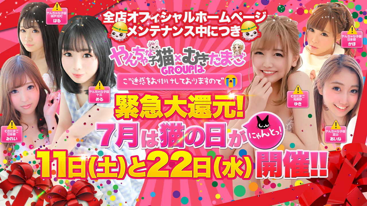 やんちゃな子猫むきたまごグループのブログ 7月は11日（土）、22日（水）が猫の日です♪